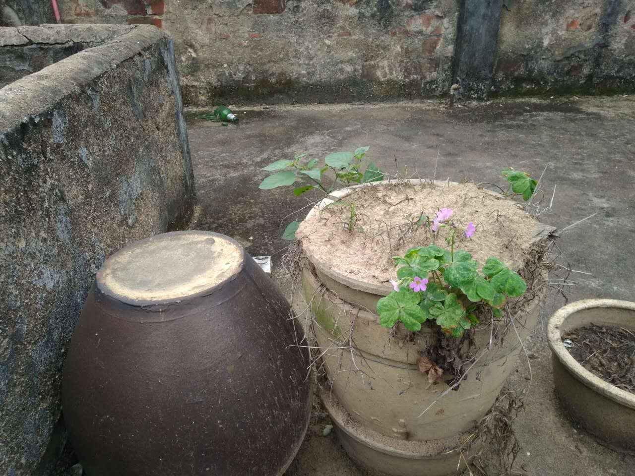 沙田村旅游攻略,广东东莞乡村休闲体验季