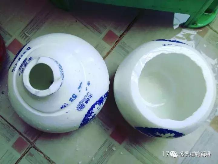 透明酒瓶种多肉怎么才好看,空酒瓶利用种多肉