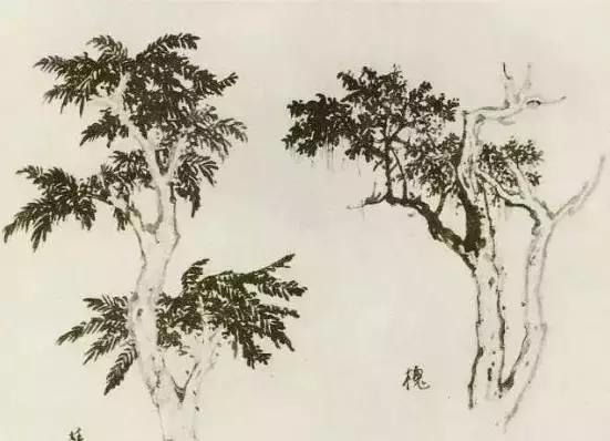 怎么画树最简单而且还最好看,怎么样才能画树画的最好看