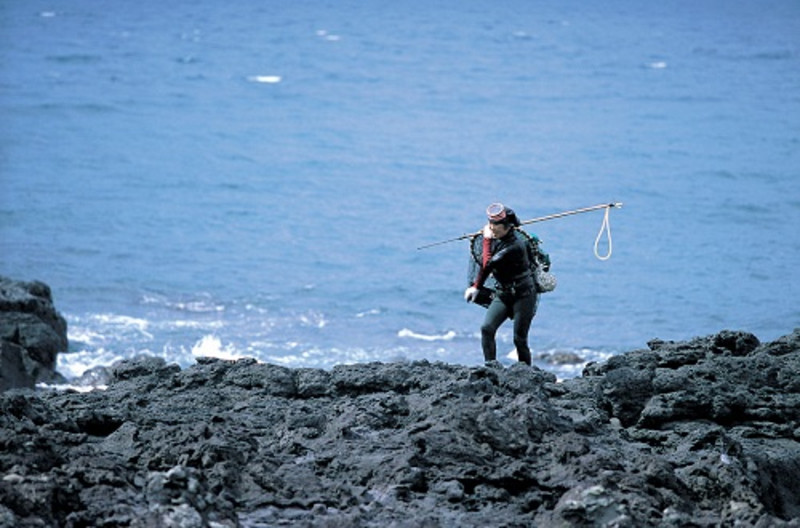 去韩国首尔自由行多少钱,畅游首尔14天