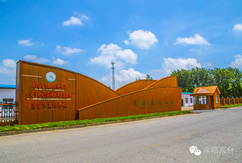 让我醉倒在泉边歌词,让我醉倒在池边歌词