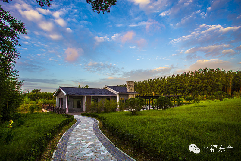 让我醉倒在泉边歌词,让我醉倒在池边歌词