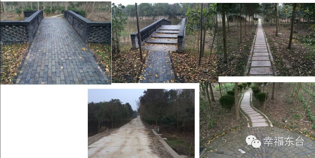 让我醉倒在泉边歌词,让我醉倒在池边歌词