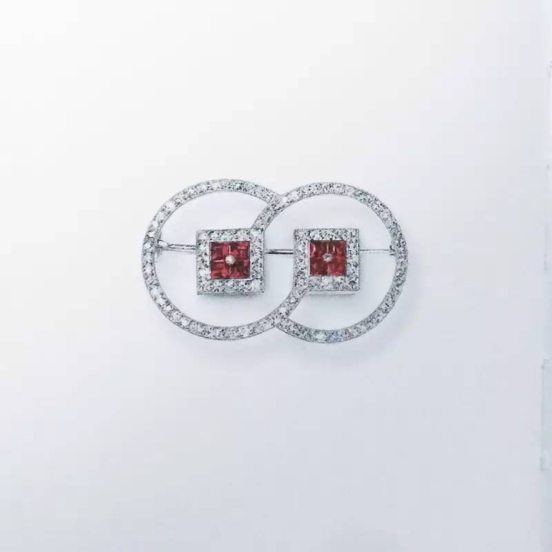 长知识升逼格｜来看看大蜥蜴国有多了不起