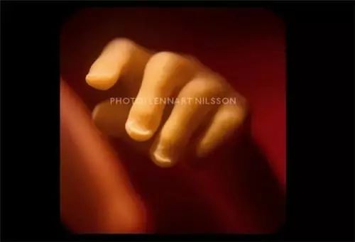 摄影师记录媳妇怀胎十月历程,摄影师拍摄中国历史