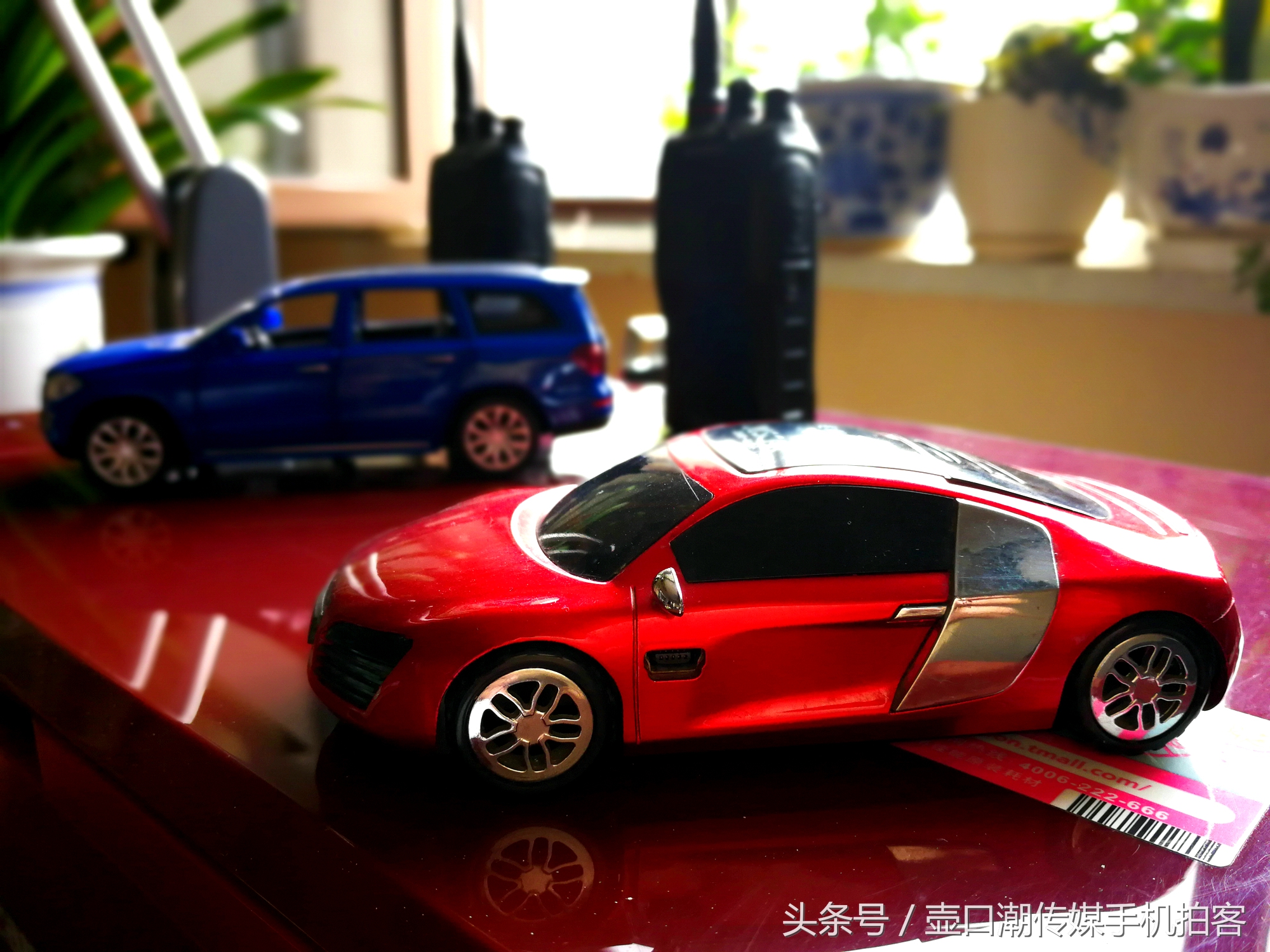 临汾:手机拍拍工作室的花~再好的装修也比不了和大自然和谐相处