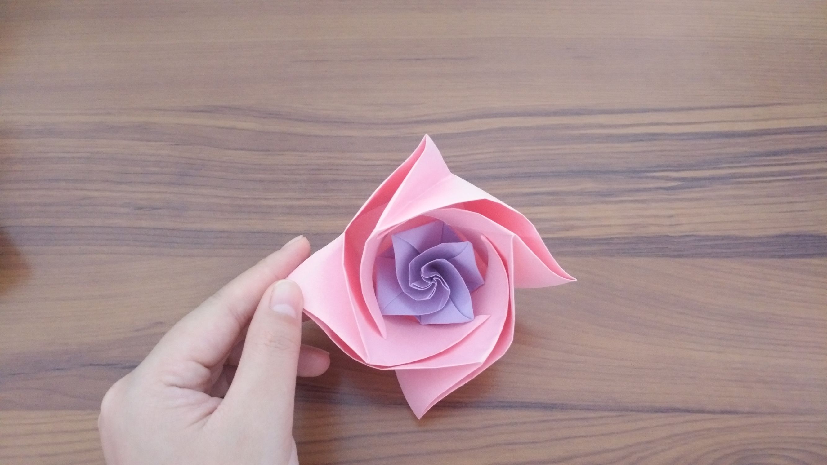 手工折纸小青蛙视频,手工折纸孔雀视频