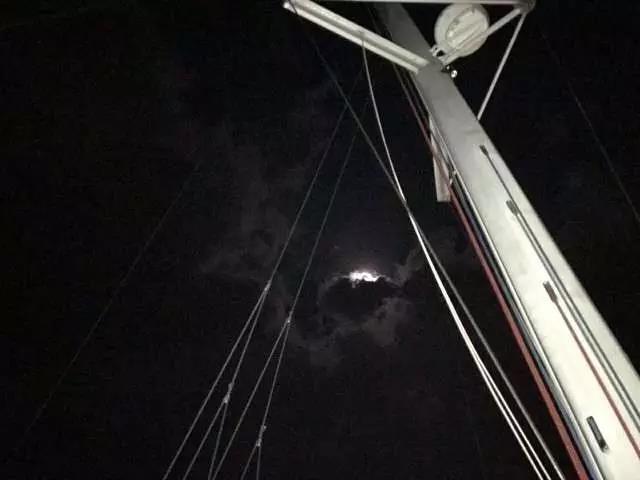 teamlab东京光影展,teamlab艺术展馆