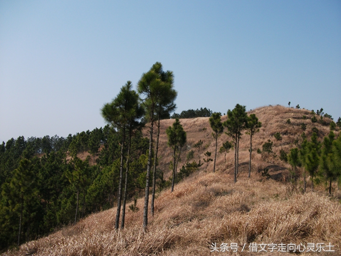 真切怀念老乡邓国金