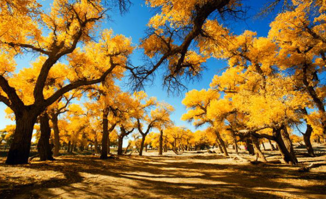 分手后独自旅行该去哪里,分手后一个人去哪旅行