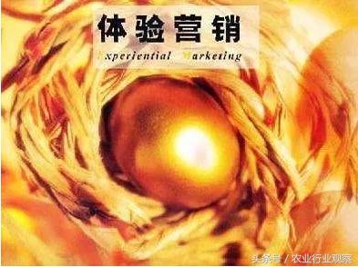 农产品如何全网做营销,新农人必学的营销策略