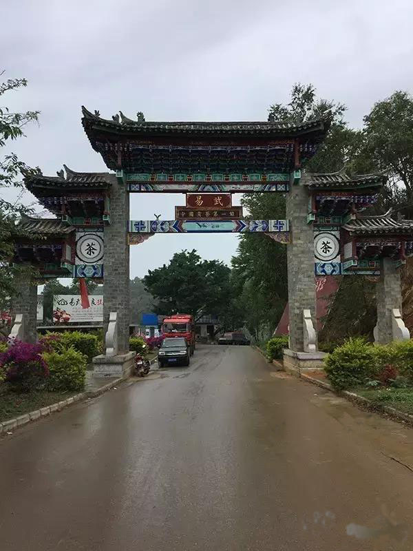 易武哪个山头普洱茶最好,普洱茶的易武正山是什么意思