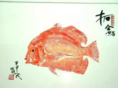 唯美鱼手绘画,唯美鱼手绘高级