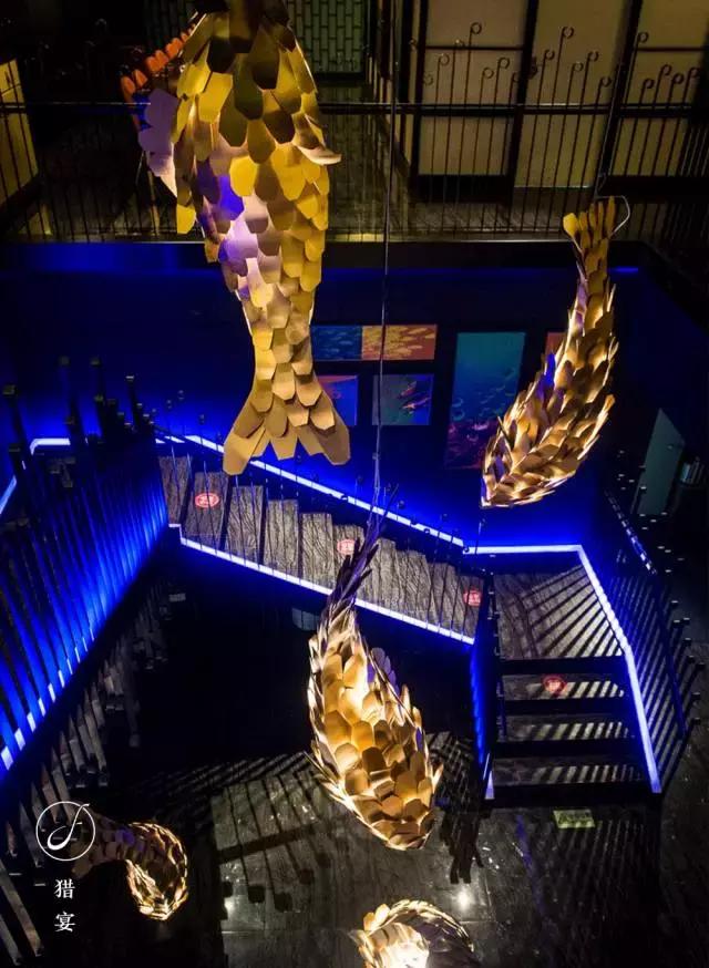 上海中山公园周末玩乐推荐,上海中山公园鱼