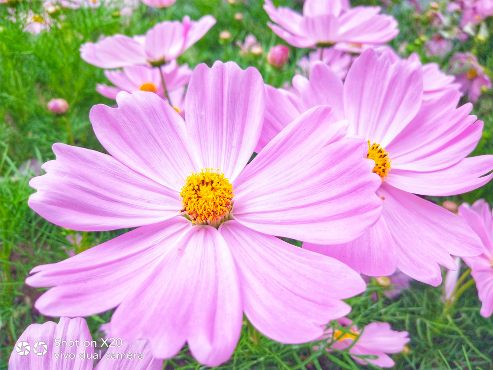 国庆杯朋友圈摄影大赛,加入国庆朋友圈摄影大赛