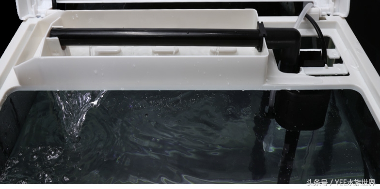 上滤、底滤、背虑、外挂、内置各种过滤，到底哪种适合你的鱼缸？