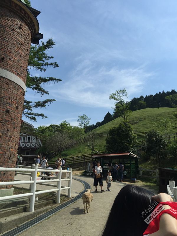 碉堡｜日本关西深度游最详细攻略！体验全日本最美的小渔村，吃嗨