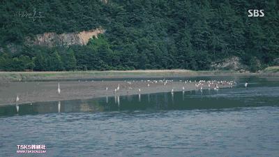 抛开狂撒鸡汤的烂俗剧情,没想到这部剧还有隐藏的看点