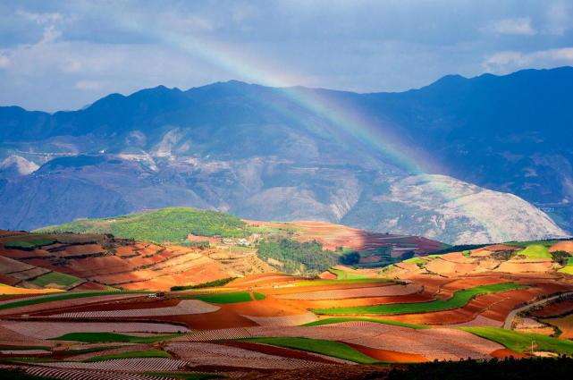 云南老月饼小时候的味道怎么制作,云南人的中秋大餐