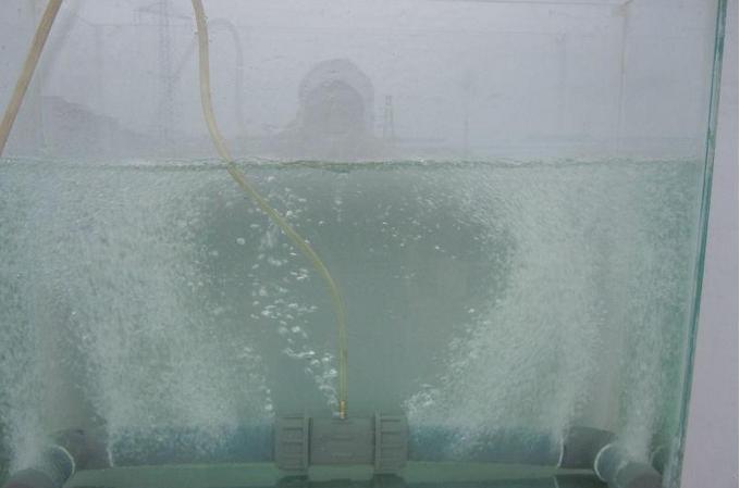 鱼中毒怎么解,鱼亚硝酸盐中毒鱼能换缸吗