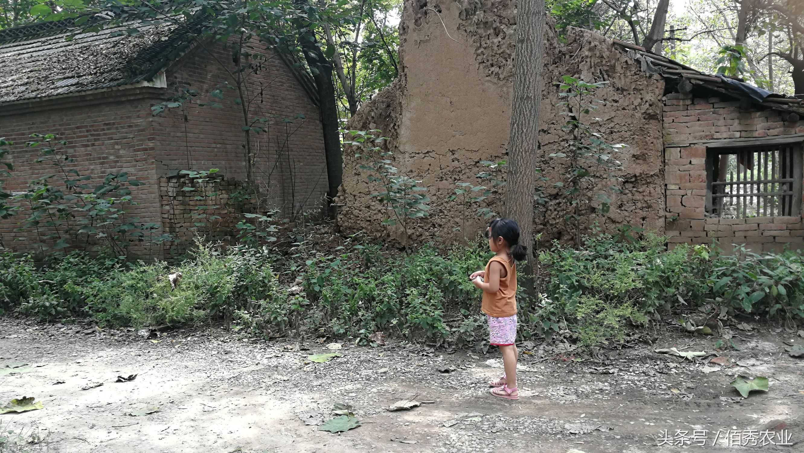 农村破房子有必要重新盖吗,老房子被拆了不盖房有禁忌