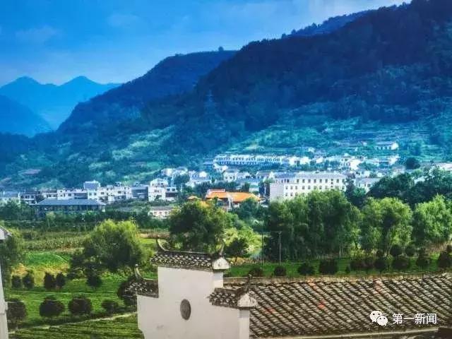 追赶超越看今朝，厉害了！我的“安康绿”！