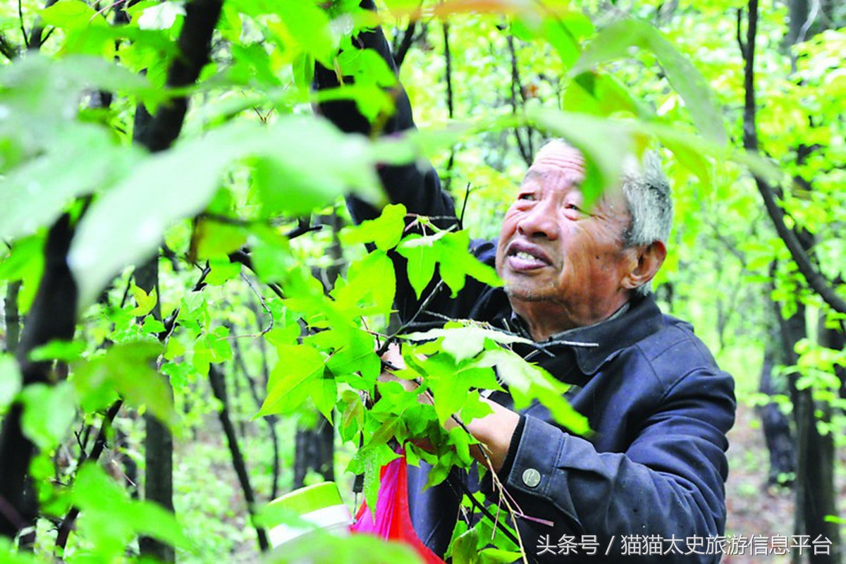 乾隆为什么六下江南都去木渎古镇,乾隆六下江南必来木渎