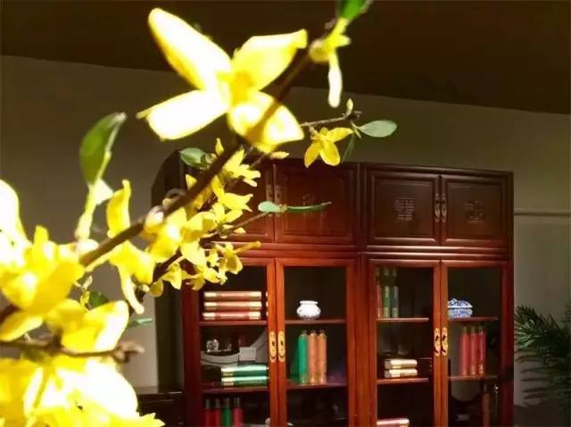 「寻坊」它们是传统中的经典，也当是时代的潮流