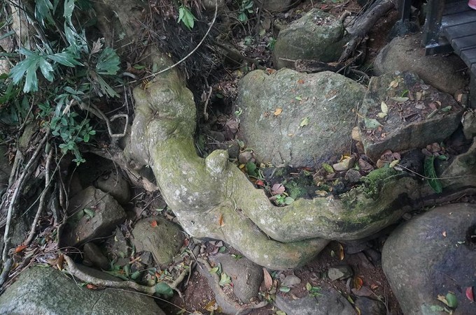 在三亚的沙滩上晒太阳,三亚海边晒太阳