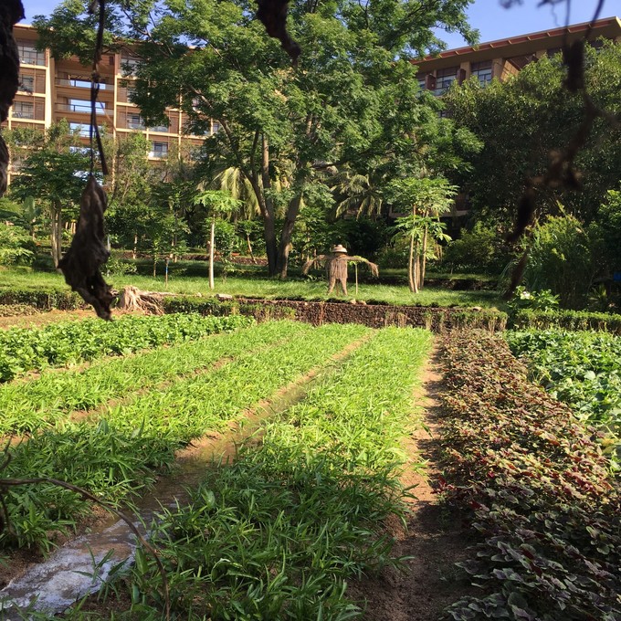 一场浪漫的三亚之旅,一场浪漫的三亚旅行