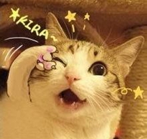 怎么让女朋友爱玩游戏,如何让女朋友爱上玩王者