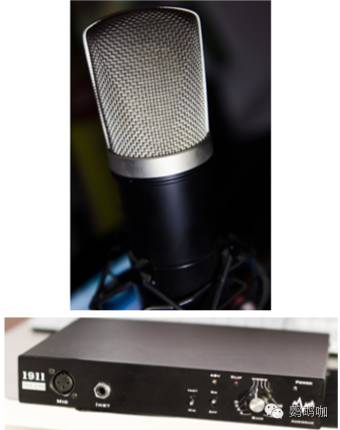 音乐人养成计划,音乐人养成