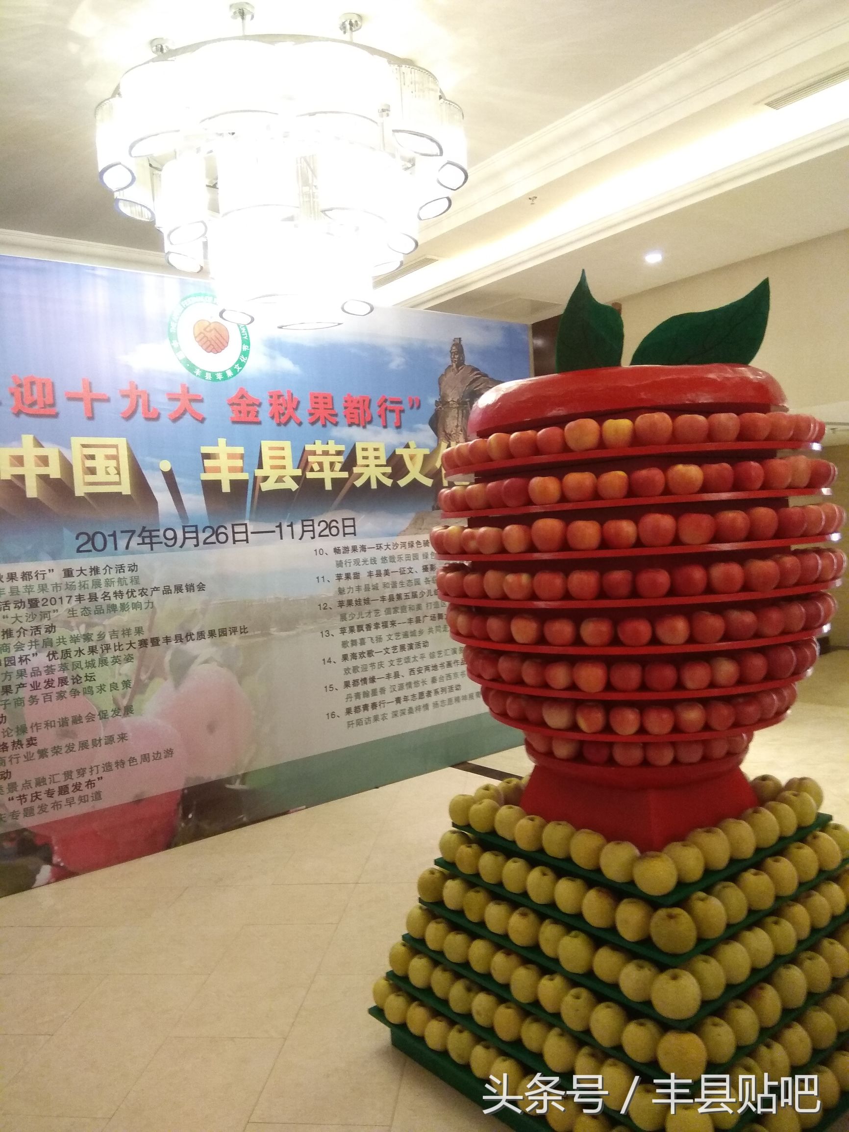 摘苹果徐州丰县,丰县哪个地方能摘苹果