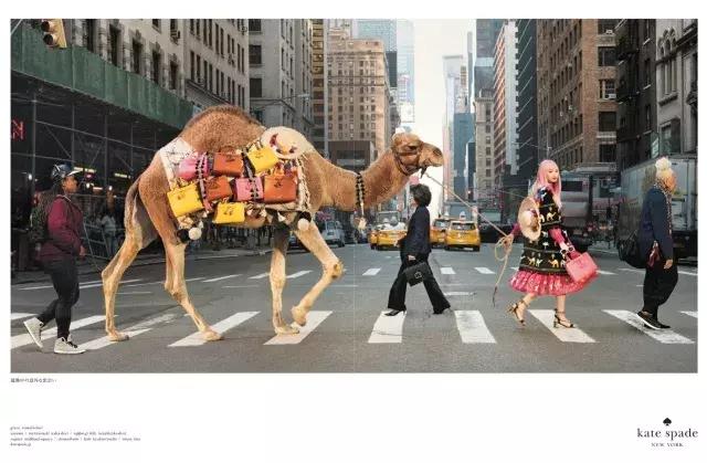 职场女性适合的大牌包,适合初入职场的名牌包