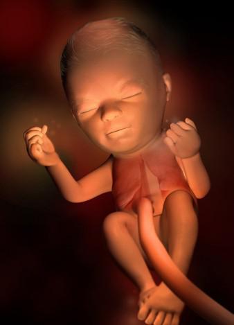 这组高清3D图，带你了解胎宝宝1-40周生长发育全过程