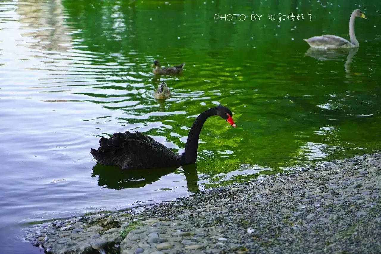 北京汤泉度假酒店排名,京城度假酒店