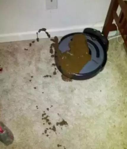 养狗别用扫地机器人,养狗狗用扫地机器人吗