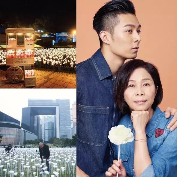 周柏豪的年度报告,周柏豪帅