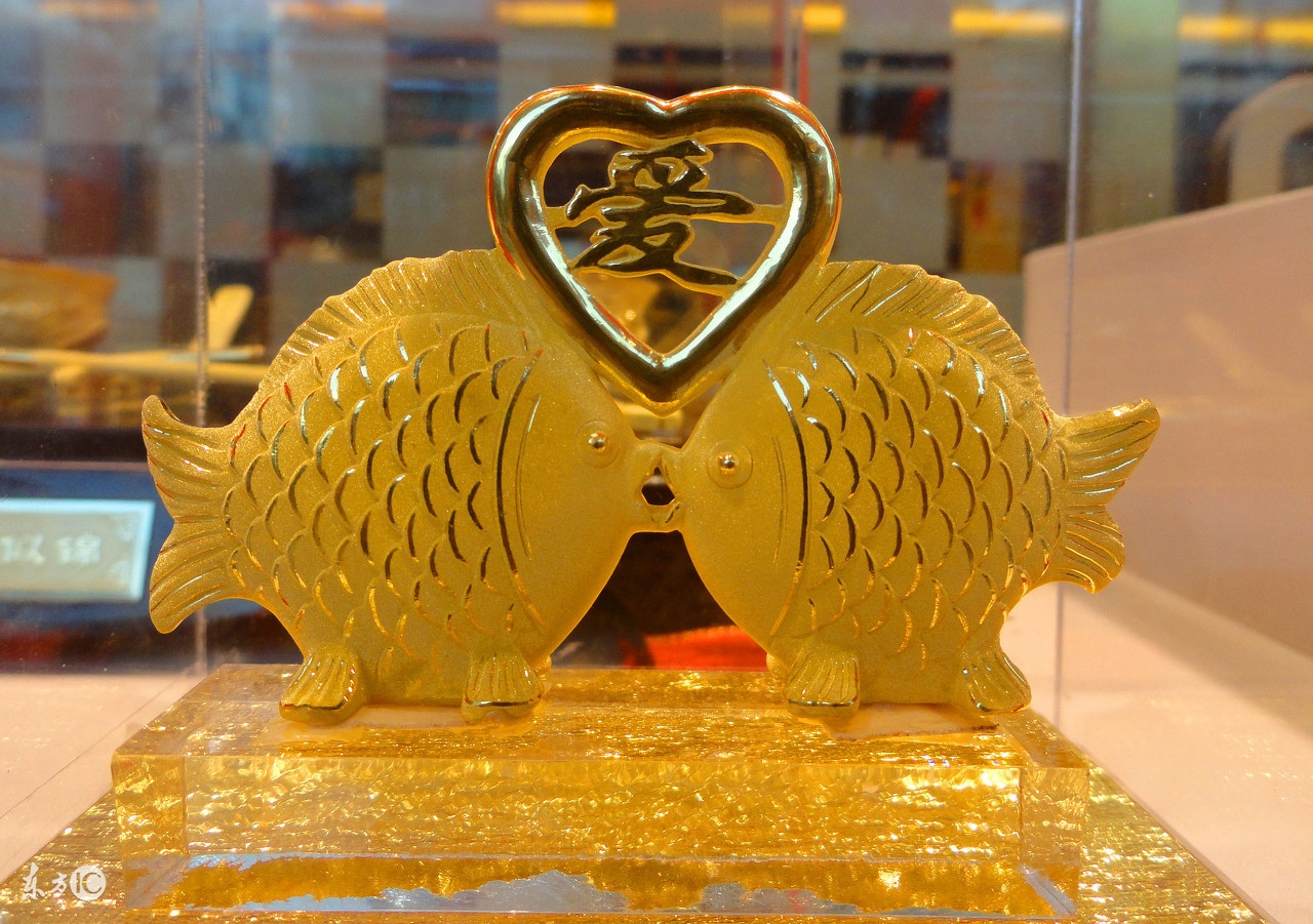 十二星座的开运宠物白羊座,12星座最适合养什么宠物