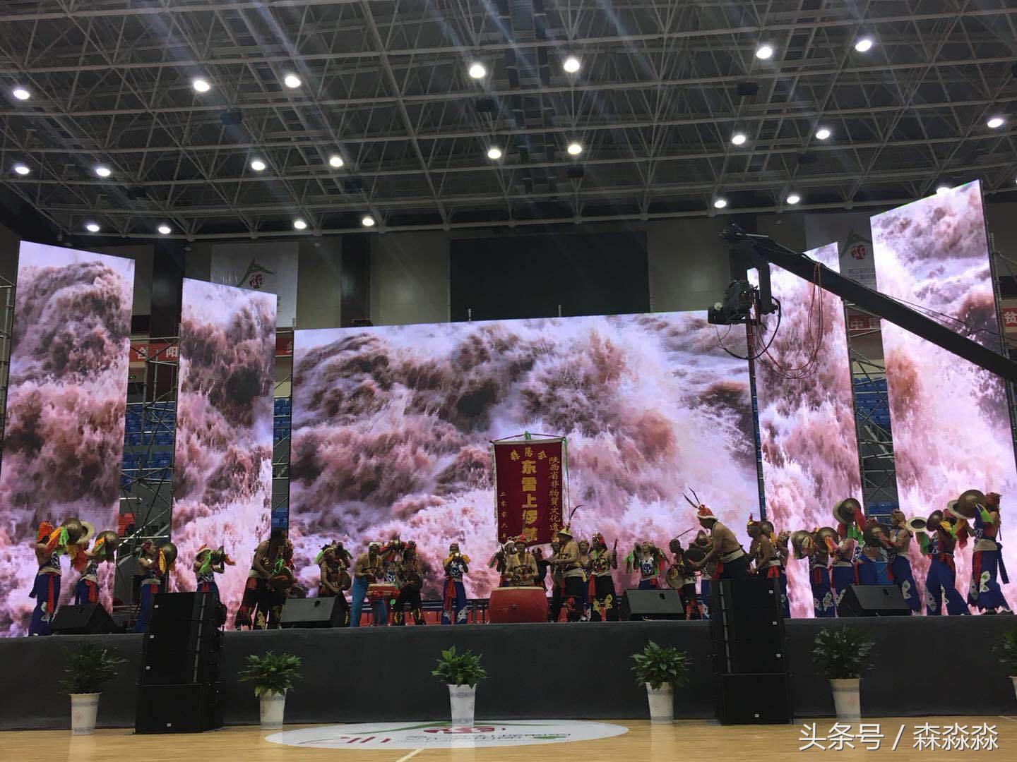 陕西合阳红提葡萄图,合阳红提葡萄节