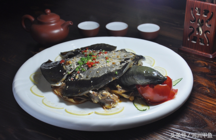 甲鱼菜品介绍术语,甲鱼菜品语言介绍