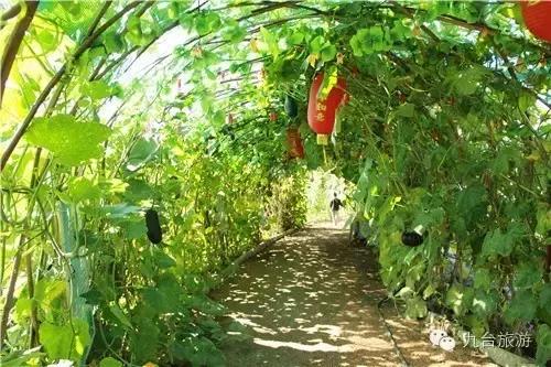 九台周边三日游去哪儿好,黄金周出游怎么玩