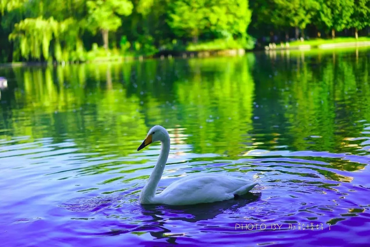 北京汤泉度假酒店排名,京城度假酒店