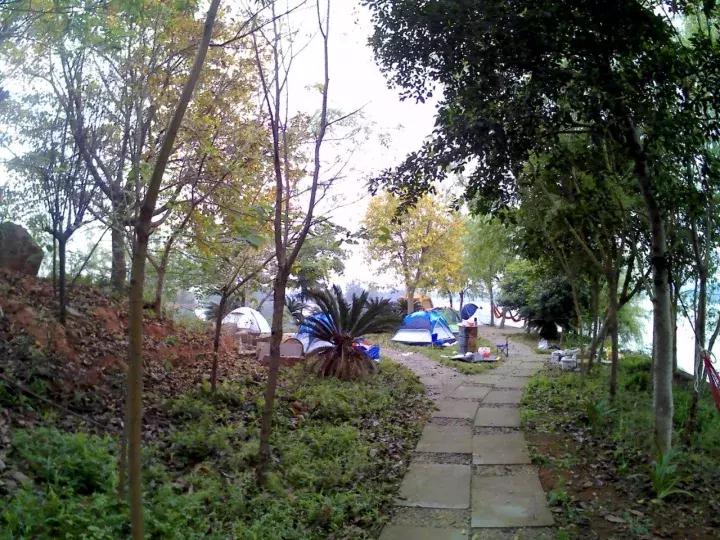 成安渝高速目前通行正常吗,成安渝高速通车倒计时