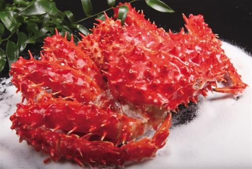 海鲜吃多了会不会得尿结石,海鲜吃多了会结石吗