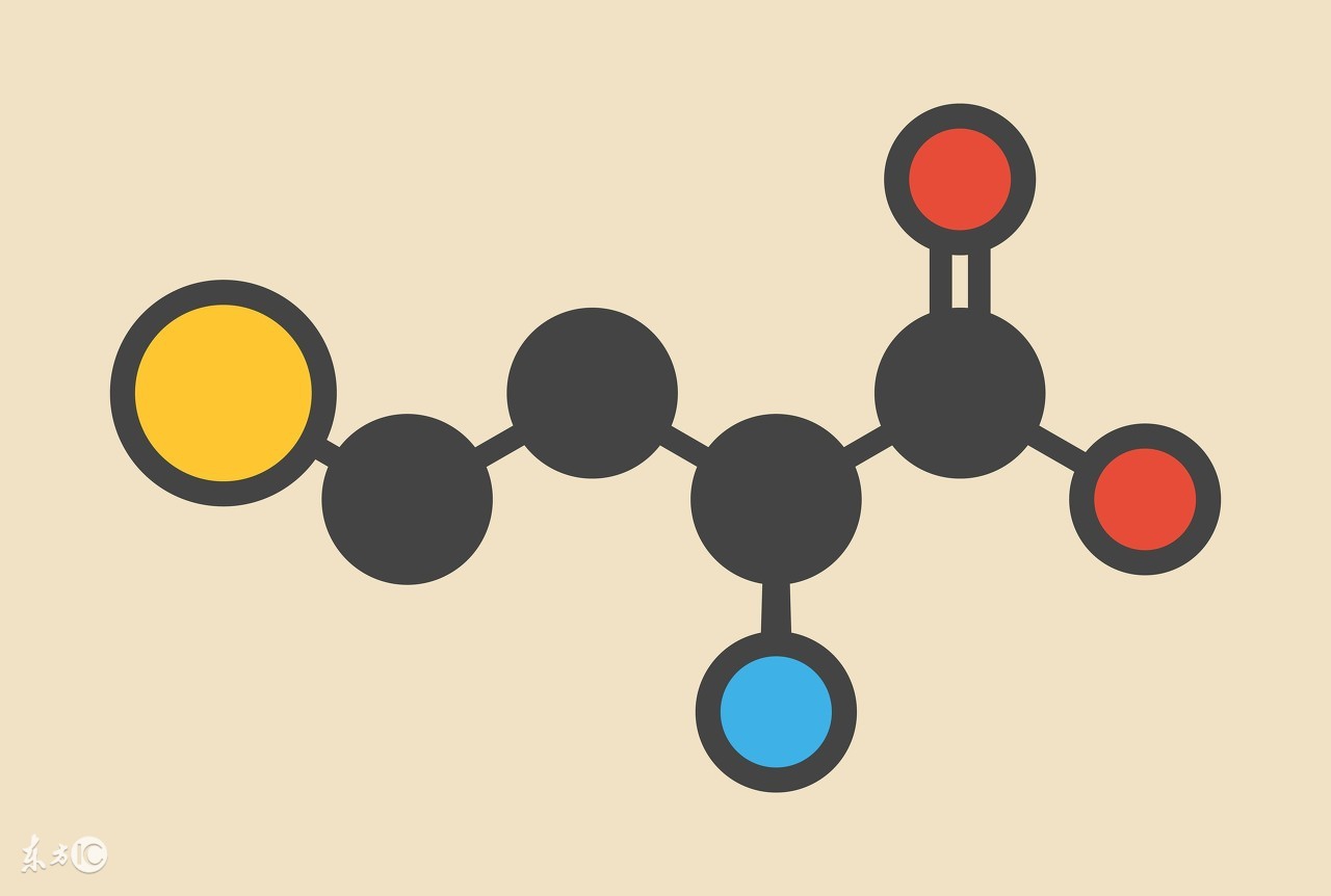 同型半胱氨酸价格,如何看待同型半胱氨酸