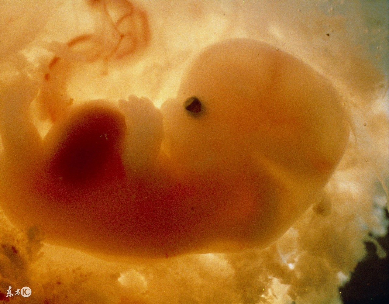 孕早期见红有什么偏方,孕早期见红怎么尽快流产