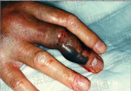 我们真的不想在假期开始前来一期重口味更新的