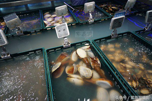 马云未来电商和实体店哪个是赢家,马云对于实体店和电商的看法