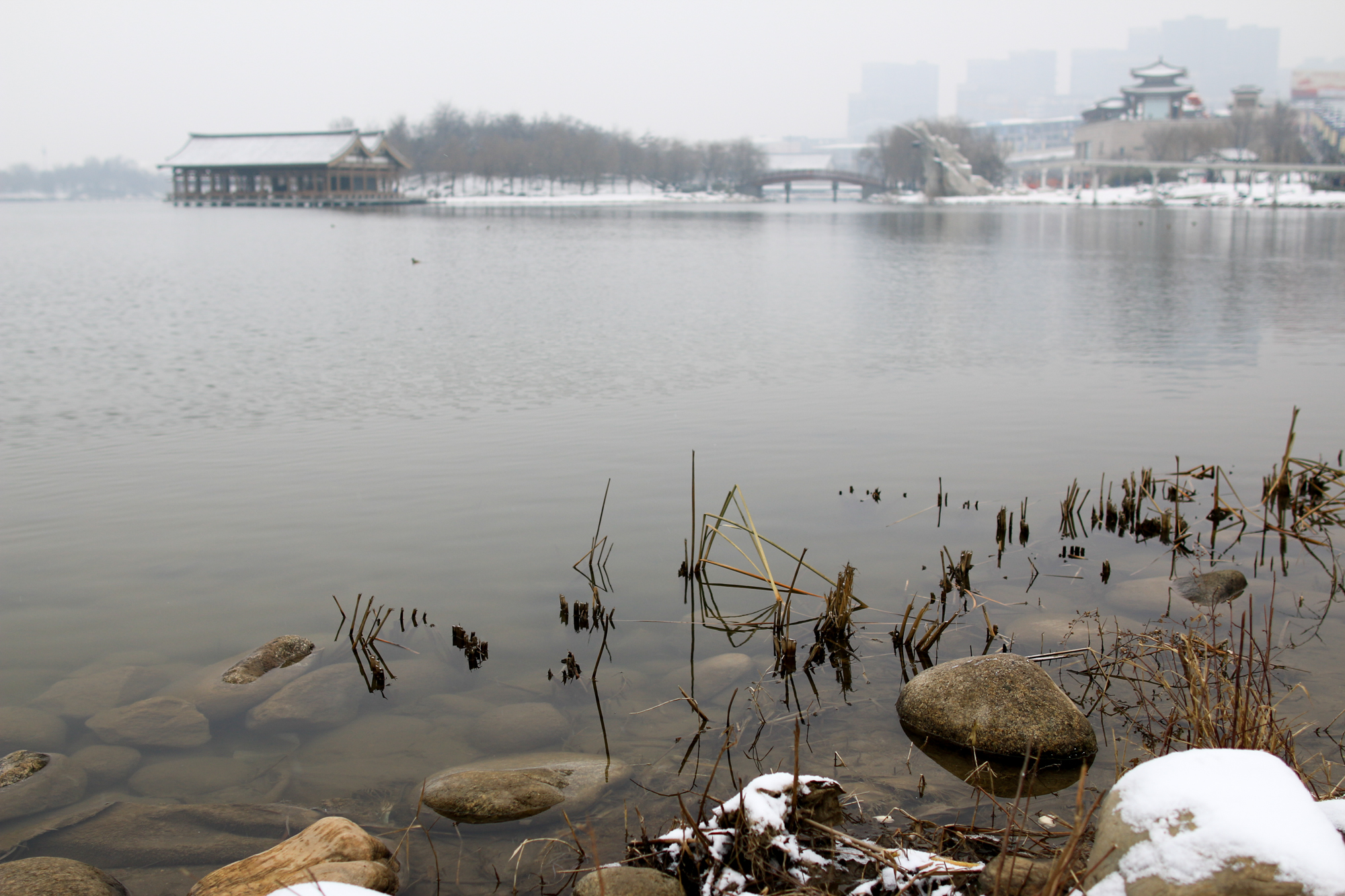 西安曲江池遗址公园值得去吗,西安曲江池遗址公园曲江池